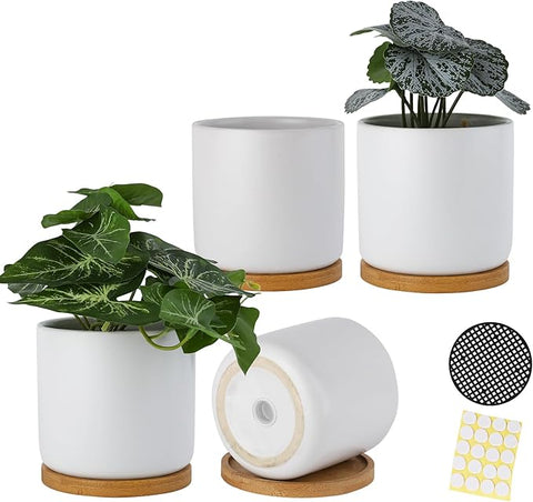 4 Inch Ceramic Plant Pots with Drainage Holes and Trays, Adorable Smal –  Grow It Depot