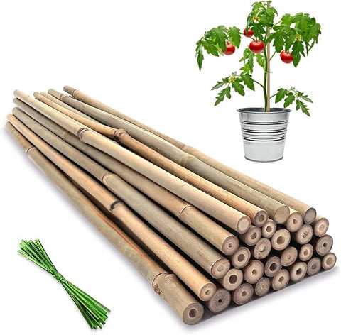 Plant Stakes,12 Inches Natural Garden Bamboo Sticks,BOVITRO 20Pcs Plan –  Grow It Depot