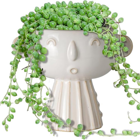 succulent head planter Face Planter Pot 7 Inch