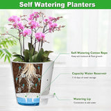Orchid Pots with Holes, 6 Inch Self Watering Orchid Pot 2 Pack Plastic –  Grow It Depot