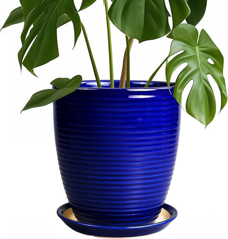 8 inch ceramic flower pot Ceramic Planter Pot