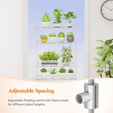 acrylic hanging plant shelf Lifewit 3-Tier Window Plant Shelves 15 inch, Acrylic Adjustable Hangin –  Grow It Depot