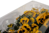 SUNDOME 7.5 Inch Multi-Vented Humidity Dome