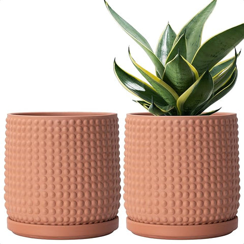 D'vine Dev Set of 2 Ceramic Plants Pots, 6 Inch Beaded Stoneware Flowe –  Grow It Depot