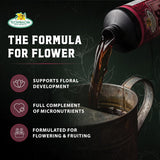 B.C. Bloom — formula and key benefits