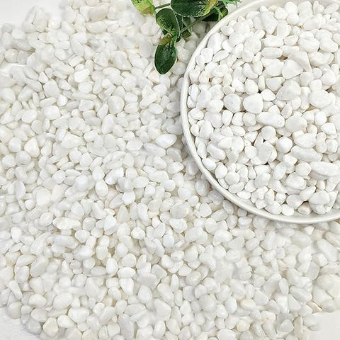 succulent rocks pebbles 20lbs White Pebbles for Landscaping, 3/8inch Small Rocks for Gardening –  Grow It Depot