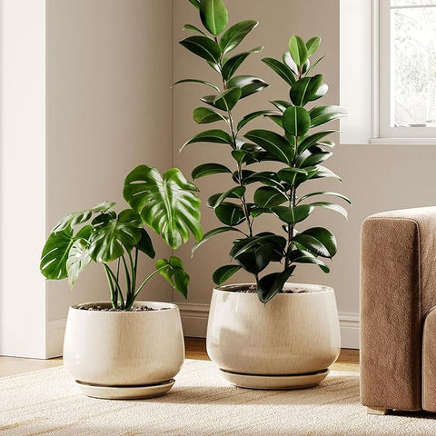 indoor plant pot 12 inch LE TAUCI Ceramic Plant Pots, Set of 2, 10 + 12 Inch Plant Pot, Elegant – Grow It Depot