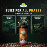 B.C. Boost — what it is formulated for