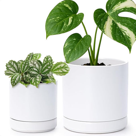 small plant pots with drainage holes D'vine Dev 4.7 Inch & 6 Inch Ceramic Planter Pots for Plants with Drai – Grow It Depot