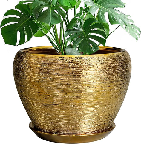 large indoor plant pots with drainage holes and saucer Ceramic Planter 10 Inch