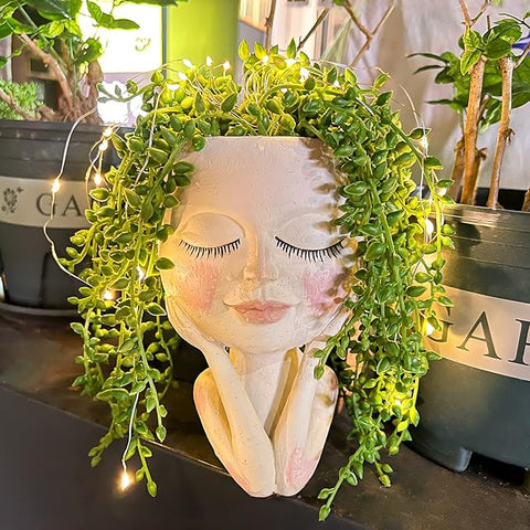Solar-Face Flower Pot Head Planter Pots
