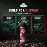 B.C. Bloom — what it is formulated for