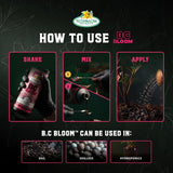 B.C. Bloom — how to use