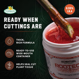 Rootech Gel — formula and key benefits