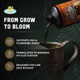 B.C. Boost — formula and key benefits