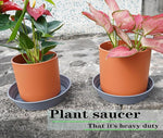 Plant Saucer 6 Inch 4 Pack 6 8 10 12 14 16 18 20 25, Plastic Plant Tra   Grow It Depot