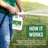 Turf Titan Lawn Advancer – Green Lawn Booster and Lawn Fertilizer (32 oz) – Fast-Acting Hose End Fertilizer Concentrate with Tri-Action Formula – Covers up to 8,000 Sq Ft