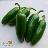 Seeds - Sow True Seed