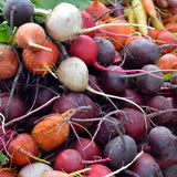 Seeds - Sow True Seed
