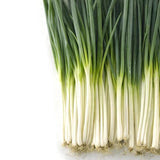 Seeds - Sow True Seed