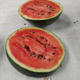 Seeds - Sow True Seed