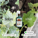 Organic Tomato, Fruit & Vegetable Boost