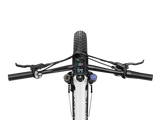 Heybike Alpha