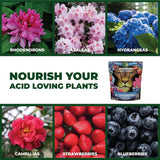 Acid-Loving Fertilizer