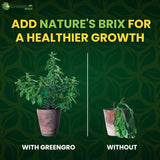 Nature's Brix