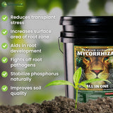 Premium Ultrafine Myco