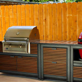 American Renaissance Grill 30 Inch 2 Burner Built-In Gas Grill
