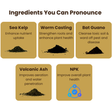 Ancient Soil Organic Living Soil