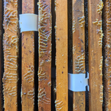 Apivar 2.0 Varroa Mite Strips