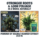 Kelp It Real – Organic Soluble Seaweed Extract (0-0-14)
