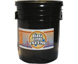 Big Time Enzyme Bio-Protectant
