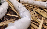 Build Your Own Blumat Pot Kit