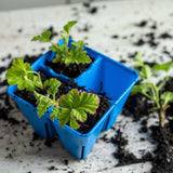 4 Cell Plug Tray Inserts