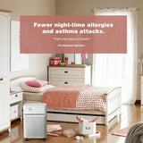 Austin Air Systems Bedroom Machine