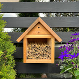 Natural Reeds for Leafcutter Bees, 6mm