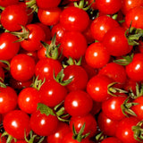 Seeds - Sow True Seed