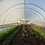 Bootstrap Farmer DIY Greenhouse Kit -12 ft Wide Hoop House