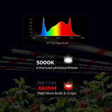 Medic Grow MEDIC BOX 07 Dimmable Full-Spectrum LED Grow Light 720w for 4×4 Planting