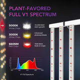 Medic Grow Fold-800 Full- Spectrum LED Grow Light 800w for 4×4 Planting ETL & DLC Certified