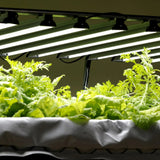 Bootstrap Farmer Dual-Spectrum LED Grow Light | 80 W