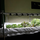 Deep Water Culture (DWC) Kit