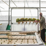 Bootstrap Farmer Deep Water Greens Raft