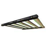 Dimlux Xtreme Series MKII ION LED Fixture - 800w, 240V-277V