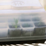 Propagation Kit | For Cuttings, Seedlings and More