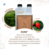 Dune™  Stabilized Monosilicic acid