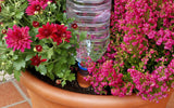 Blumat Easy XL Bottle Watering Stakes – 2 Pack